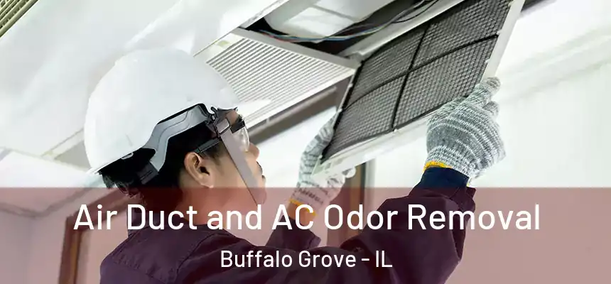 Air Duct and AC Odor Removal Buffalo Grove - IL