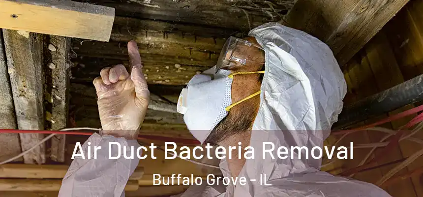  Air Duct Bacteria Removal Buffalo Grove - IL