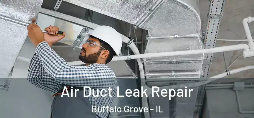 Air Duct Leak Repair Buffalo Grove - IL