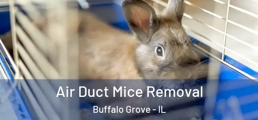  Air Duct Mice Removal Buffalo Grove - IL