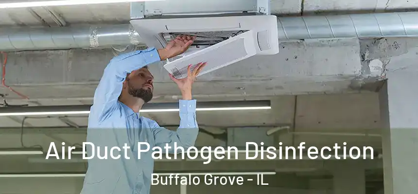  Air Duct Pathogen Disinfection Buffalo Grove - IL
