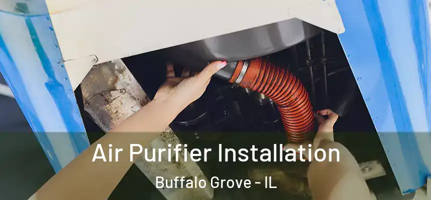 Air Purifier Installation Buffalo Grove - IL