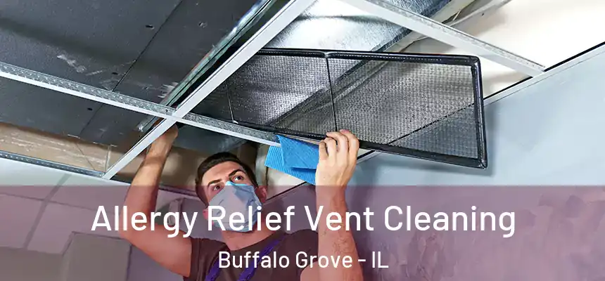  Allergy Relief Vent Cleaning Buffalo Grove - IL