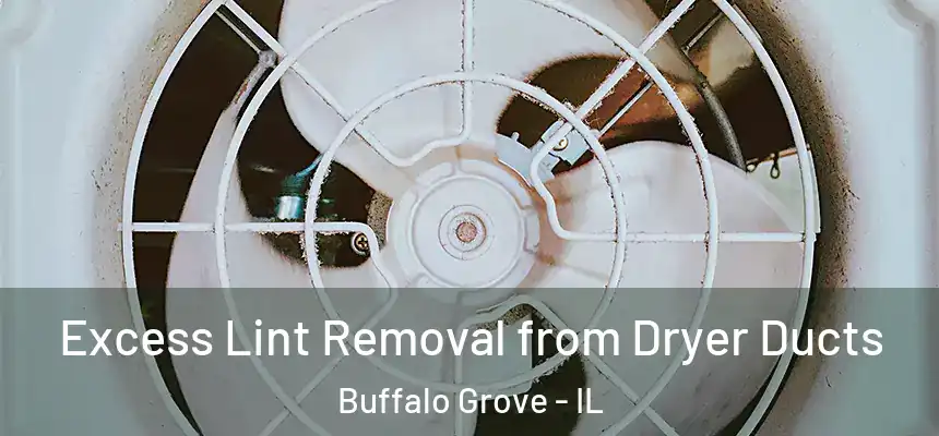 Excess Lint Removal from Dryer Ducts Buffalo Grove - IL