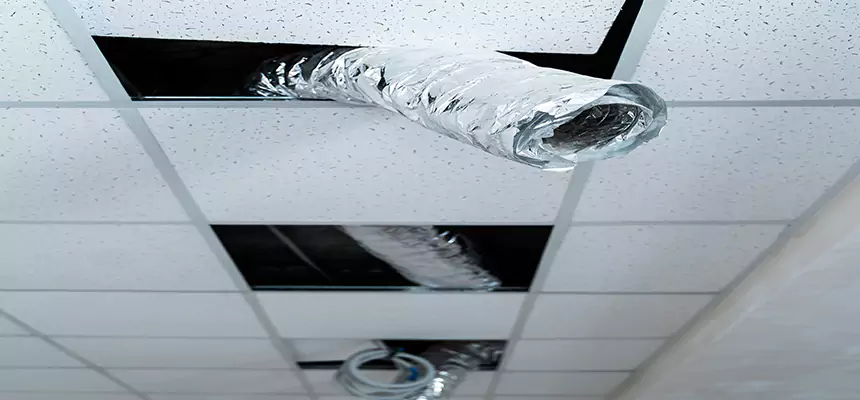 Affordable HVAC Sanitizing After Pest Removal in Buffalo Grove