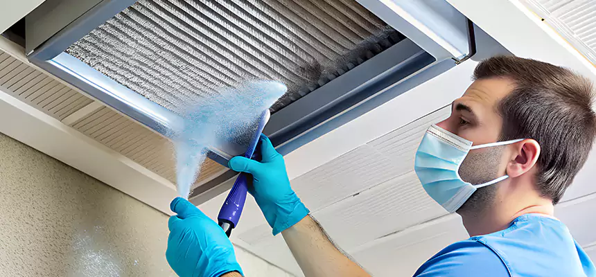Proactive Dryer Vent & Auxiliary Duct Pollen Cleanup in Buffalo Grove, IL