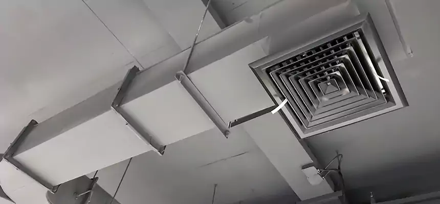 Restorative Allergy Relief Vent Cleaning – Coil, Blower & Housing Detail in Buffalo Grove