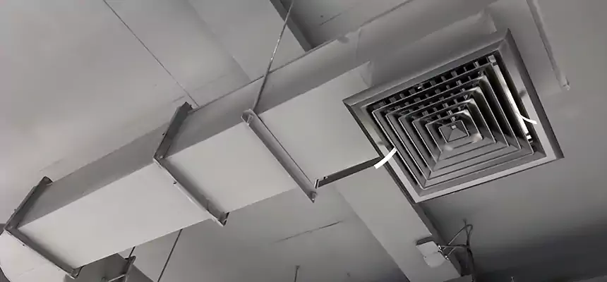 Our Pest Removal From Ducts Services in Buffalo Grove, IL