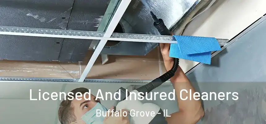 Licensed And Insured Cleaners Buffalo Grove - IL