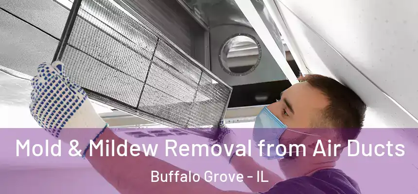Mold & Mildew Removal from Air Ducts Buffalo Grove - IL