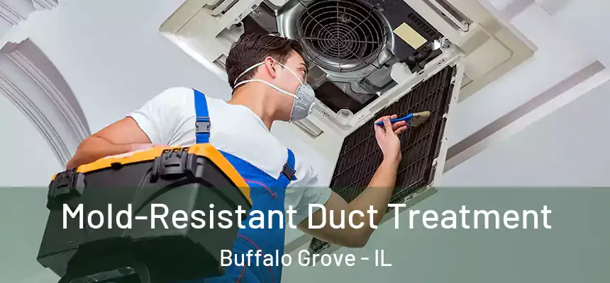  Mold-Resistant Duct Treatment Buffalo Grove - IL