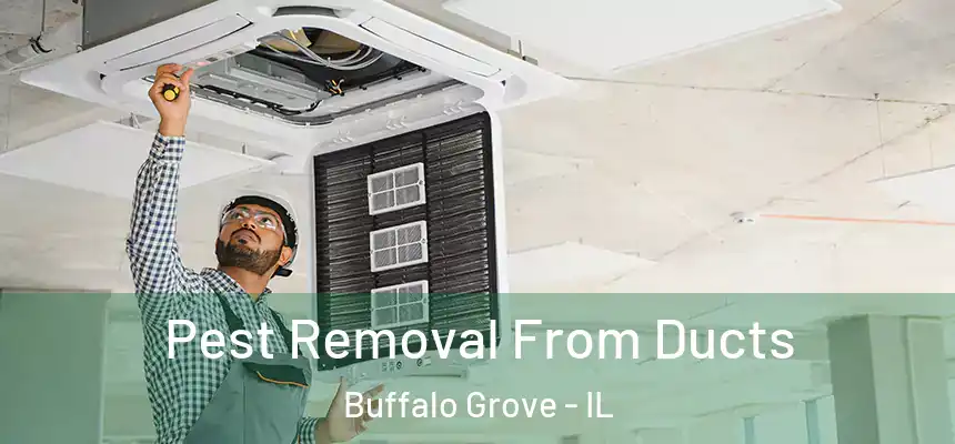 Pest Removal From Ducts Buffalo Grove - IL