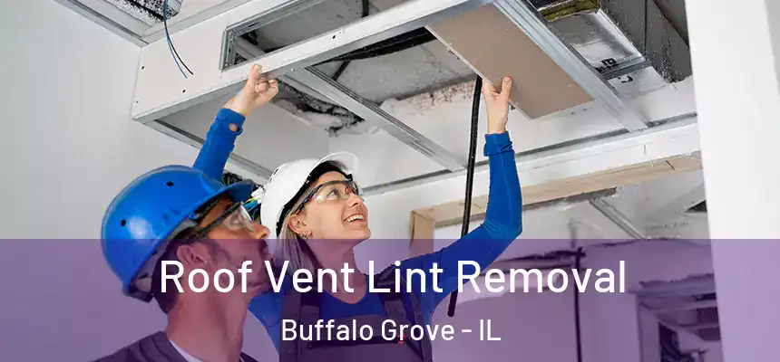 Roof Vent Lint Removal Buffalo Grove - IL