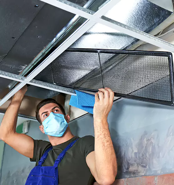 Professional Air Duct Pollen Cleaning in Buffalo Grove, IL