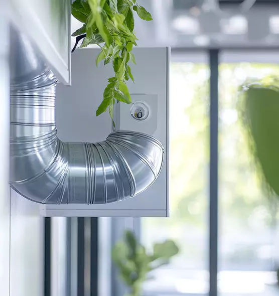 Professional Eco-Friendly Duct Cleaning Services in Buffalo Grove, IL