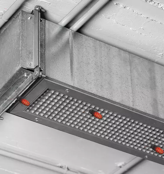 Affordable Insect Removal from Air Ducts in Buffalo Grove, IL