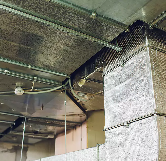 Why Homeowners & Businesses Trust Us in Buffalo Grove, IL?