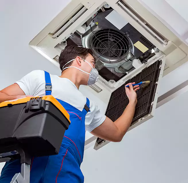 Why Homeowners & Businesses Trust Us in Buffalo Grove, IL?